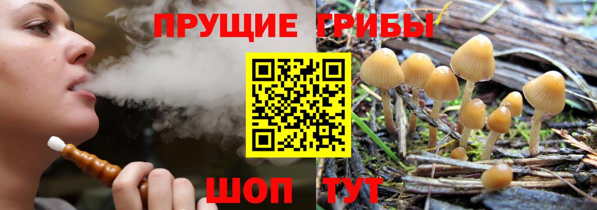 сколько стоит  Вход с VPN  Галлюциногенные грибы Psilocybine cubensis  Солнечногорск  Псилоцибиновые грибы ЛСД 